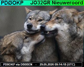 PD0OKP: 2026052911 de DB0BEN