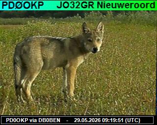 PD0OKP: 2026052911 de DB0BEN