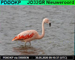 PD0OKP: 2026053011 de DB0BEN
