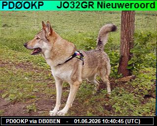 PD0OKP: 2026060112 de DB0BEN