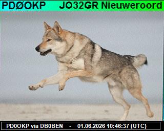 PD0OKP: 2026060112 de DB0BEN
