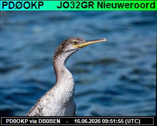 PD0OKP: 2026061611 de PI1DFT