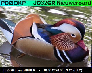 PD0OKP: 2026061612 de PI1DFT