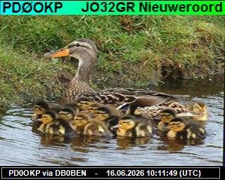 PD0OKP: 2026061612 de PI1DFT