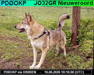 PD0OKP: 2026061612 de PI1DFT