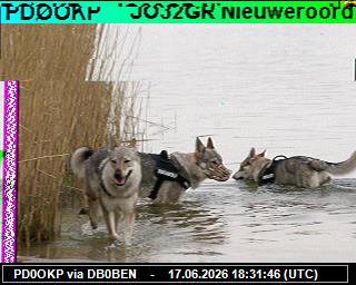 PD0OKP: 2026061720 de PI1DFT
