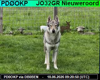 PD0OKP: 2026061811 de PI1DFT