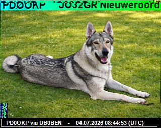 PD0OKP: 2026070410 de PI1DFT