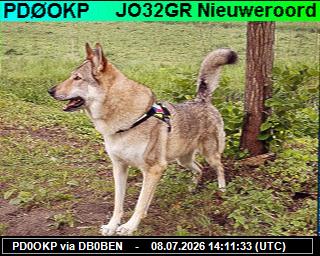 PD0OKP: 2026070816 de PI1DFT