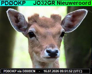 PD0OKP: 2026071611 de PI1DFT