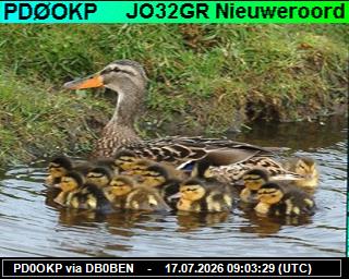 PD0OKP: 2026071711 de PI1DFT