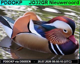 PD0OKP: 2026072010 de PI1DFT