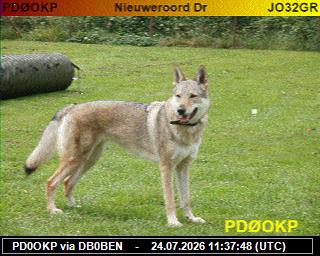 PD0OKP: 2026072413 de PI1DFT