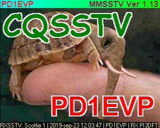 PD1EVP: 2019-09-23 de PI3DFT