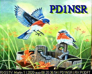 PD1NSR: 2020-08-08 de PI3DFT