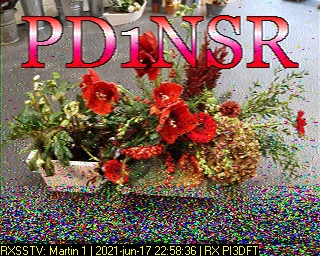 PD1NSR: 2021-06-17 de PI3DFT