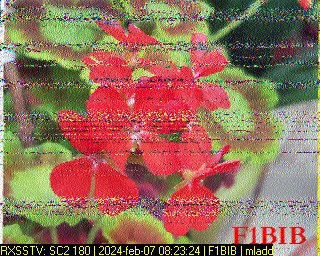 image6 de Max, PA11246 on HF 80m