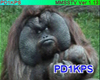 PD1KPS: 2022-04-14 de PI1DFT
