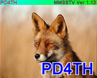 PD4TH: 2022-05-29 de PI1DFT