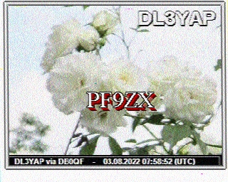 PF9ZX: 2022-08-03 de PI1DFT