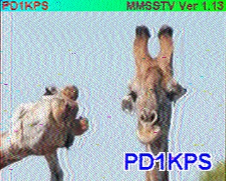 PD1KPS: 2022-08-08 de PI1DFT
