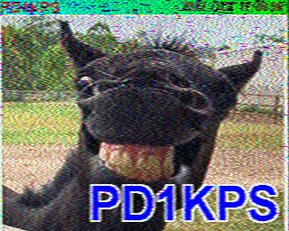 PD1KPS: 2022-10-17 de PI1DFT