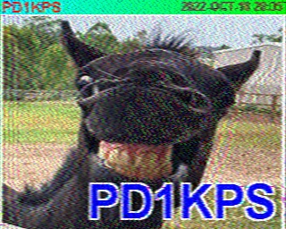 PD1KPS: 2022-10-18 de PI1DFT