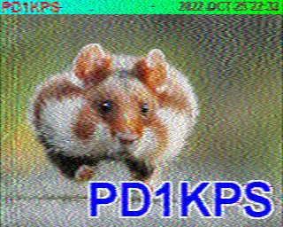 PD1KPS: 2022-10-25 de PI1DFT