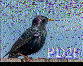 PD2F: 2023-05-13 de PI1DFT