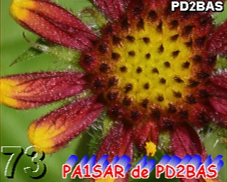 PD2BAS: 2023-09-05 de PI1DFT