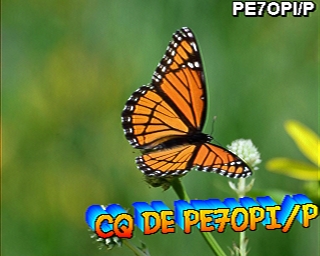 PE7OPI-P: 2024-06-06 de PI1DFT