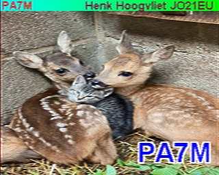 PA7M: 2025-06-11 de PI1DFT