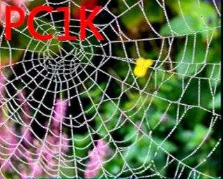 PC1K: 2025-07-07 de PI1DFT