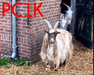 PC1K: 2025-07-10 de PI1DFT