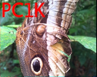 PC1K: 2025-07-20 de PI1DFT