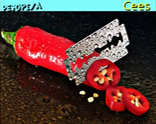 PE7OPI-A: 2025-07-27 de PI1DFT