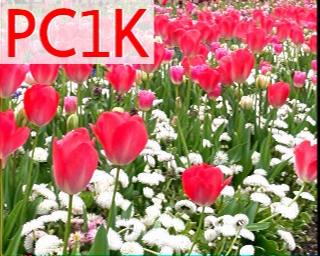 PC1K: 2025-08-02 de PI1DFT