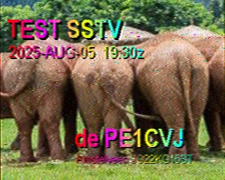 PE1CVJ: 2025-08-05 de PI1DFT