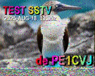 PE1CVJ: 2025-08-18 de PI1DFT