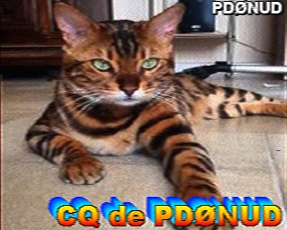 PD0NUD: 2025-08-26 de PI1DFT