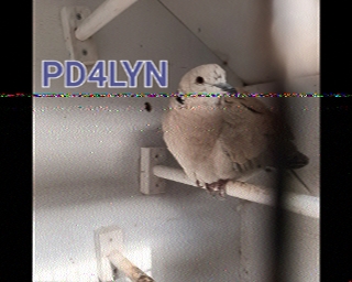 PD4LYN: 2025-09-24 de PI1DFT