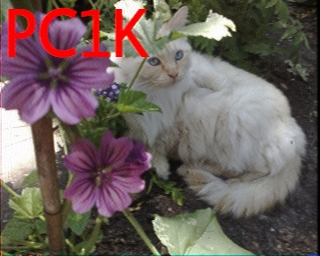 PC1K: 2025-09-29 de PI1DFT