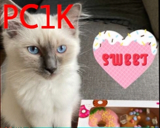 PC1K: 2025-10-11 de PI1DFT