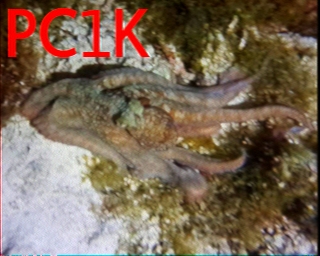 PC1K: 2025-10-21 de PI1DFT