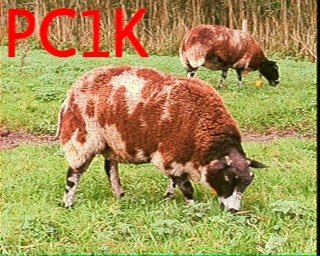 PC1K: 2025-11-01 de PI1DFT