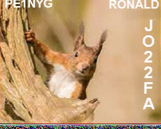 PE1NYG: 2025-11-05 de PI1DFT