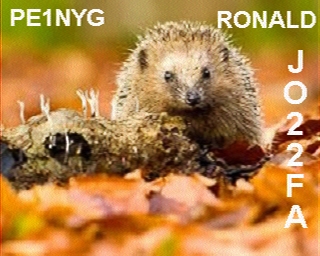 PE1NYG: 2025-11-05 de PI1DFT