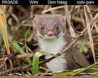 PA3ADE: 2025-11-07 de PI1DFT