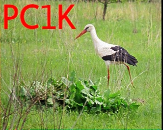 PC1K: 2025-11-16 de PI1DFT