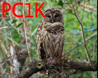 PC1K: 2025-11-17 de PI1DFT